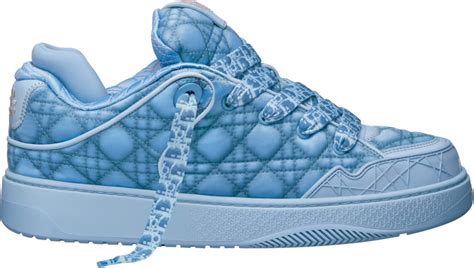 b9s dior